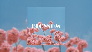 (FREE FOR PROFIT) Chill R&B Guitar x Pop Type Beat - "Blossom"
