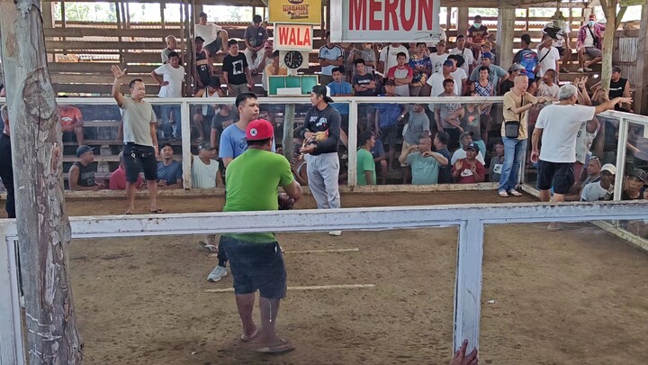 1x winner na rin isa anak ni cardobulik (Win)