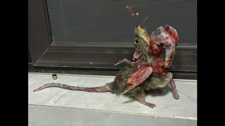 "Clay + Wool Felt" Plague