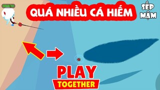 PLAY TOGETHER | Phát Hiện Phiến Đá Câu Cá Hiếm Siêu Nhiều - Cách Mình Câu Cá Hiếm Hiệu Quả | Sếp Mậm