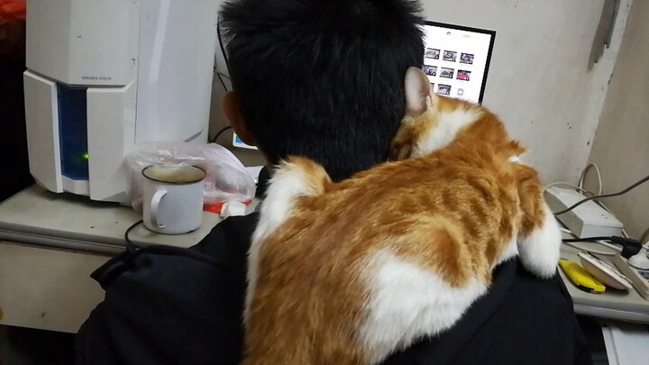 [Rescuing Cats] Day 99: Such a pain! Tun Tun’s stuck to my neck again!