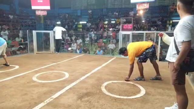2nd fight win