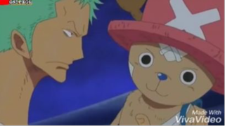 Này thì nhiều chuyện - Chopper bị Zoro bốp cổ #onepiece