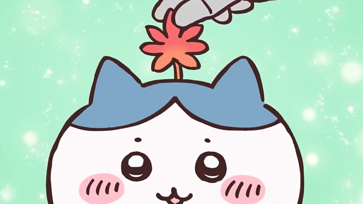 「呐！oi！诶！纳尼纳尼！」小八名语录全收集！！