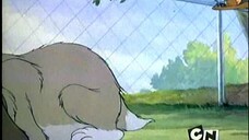 TOM & JERRY - 016 - Puttin' On The Dog (1944-10-28)#foryou