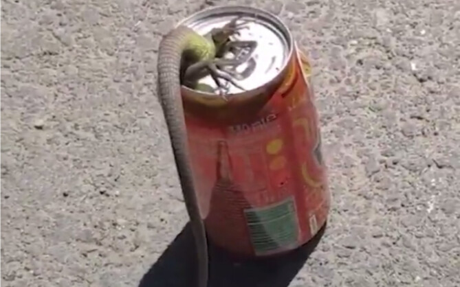 Sebuah perbuatan baik kecil