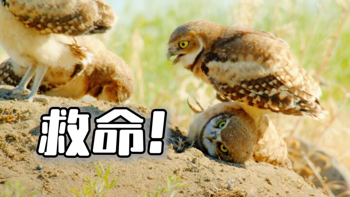 ساعدوني! بطني يؤلمني كثيرًا!