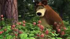 Masha And The Bear Cartoons