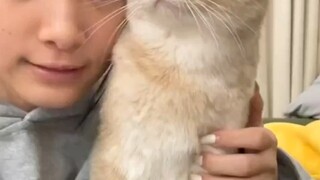 China's magical cat-hugging video resonates with netizens overseas