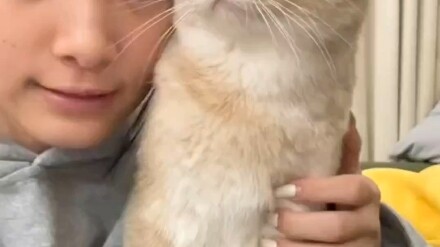 Video pelukan kucing ajaib dari Tiongkok mendapat sambutan positif dari warganet di luar negeri