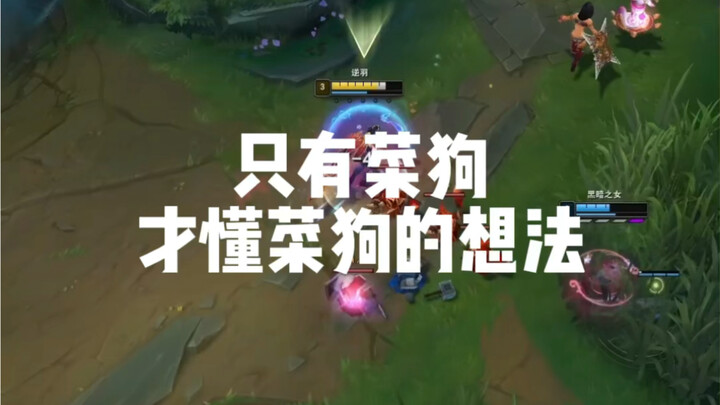 الخيل البارعة توجد دائمًا، لكن العارفين بها نادرون.