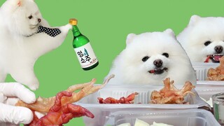 Binatang|Anjing Minum Alkohol dan Makan Ceker Ayam