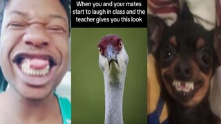 THE FUNNIEST MEMES Of September 2023 | Try Not To LAUGH 😂 | #3