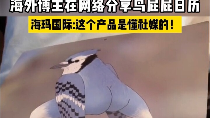 Hải Mã Quốc Tế Truyền Thông | Blogger nước ngoài chia sẻ lịch “Mông Chim”! Sản phẩm này đúng chuẩn d