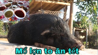 Mổ Lợn To Chuẩn Bị Các Món Trong Ngày Tết/Hoàng Việt Tây Bắc