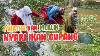 🔴 MASUK KOLAM DEMI IKAN CUPANG