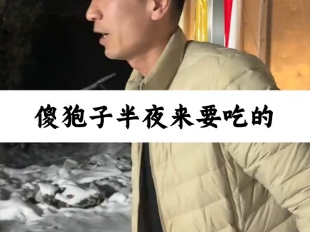 Chú nai con nửa đêm về đòi ăn đậu.