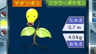 オーキド博士のポケモン講座(マダツボミ)