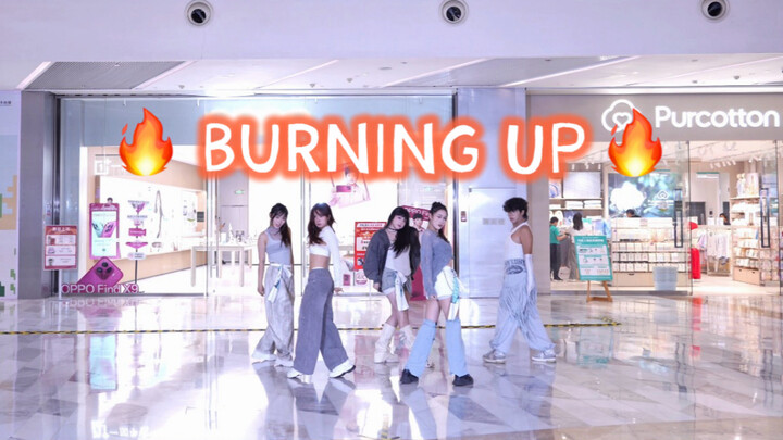 【MEOVV】Grup Tari Enerjik Lima Kucing! Membara! 985 Super Seragam Burning Up
