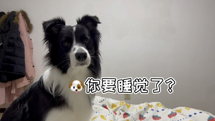 Getting ready for bed [Victory]… but who’s gonna turn off the lights?!?