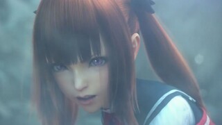 Super charming girls| Gunslinger Stratos CG