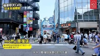 最療癒的東京咖啡店！原宿巨大薩摩耶狗狗Cafe｜與雪天使瘋狂玩遊戲