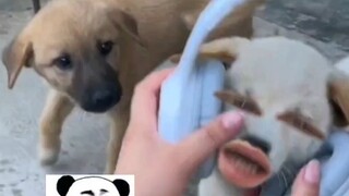 Unaware of one's own blessings