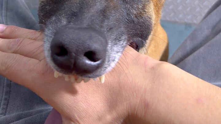 Komunikasi yang aksesibel