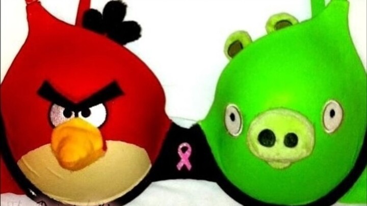 亦 敌 亦 友 🐦🐖