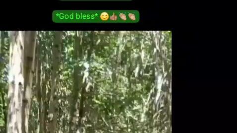 MERPATI HINGGAP DI KEPALA SEORANG IBU SAAT JALAN SALIB DI PERHENTIAN KE 12...#GOD IS GOOD