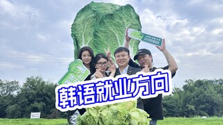 Employment prospects for Korean language majors, Chinese products go to Korea!