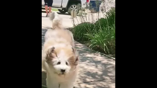 ตอนเด็กๆ ชอบเรียนคณิตศาสตร์เรื่องสแควร์รูท ไม่ใช่รูทธรรมดาด้วยนะ รูทเธอที่ซัก รักเธอที่ซู้ดดดด><