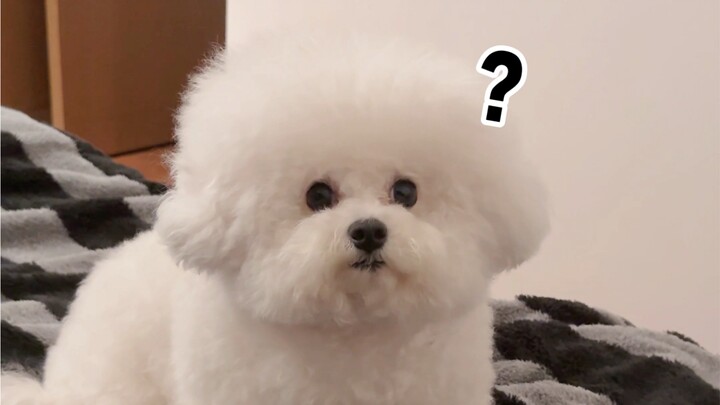 لماذا أشعر أن الأمر لا يبدو سعيدًا جدًا؟