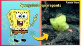 Spongebob Squarepants Characters In Real Life