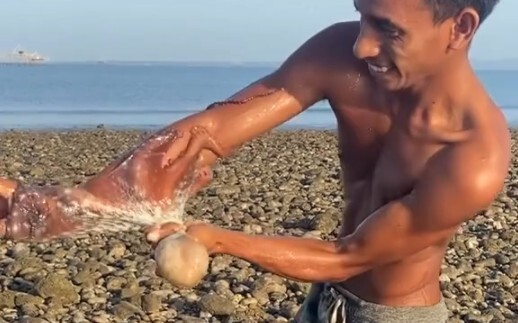 男子手臂被八爪鱼缠住了 见到这个东西千万离它远点