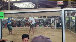 Throwback video.  Nag champion kami sa 3-wins Fiesta Event sa Talibon,Bohol.#Possum Sweaters gamit