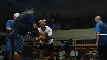 Pumpkin (1st Payt) March 30,2026 2 Hits Ulutan