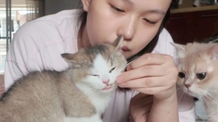 Vui quá! Cô bé Jinjin của chúng ta đã ăn chậm lại rồi!
