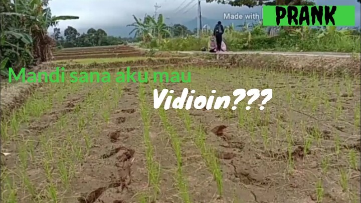 PAKSAIN CEWEK MANDI | PRANK INDONESIA