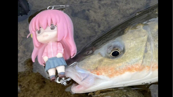 Using Pochi-chan as bait to fish, unexpectedly...