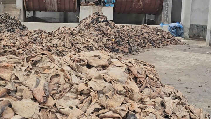 Victory Gelatin Products Ltd. A leather West management company in Savar.