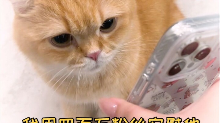 Apa sih benda lengket mirip ingus ini?