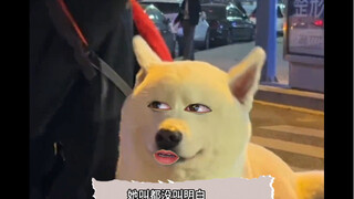 小白：僚机已下线