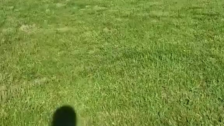 มีสัตว์ดุร้ายปรากฏตัว ใครหัวใจไม่แข็งแรงอาจถึงกับโดนความน่ารักล้มฟินไปเลย