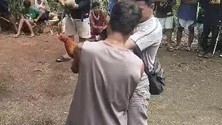 Win Roundhead/Hatch
