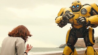 萌萌的大黄蜂可爱的像一个三吨重的小朋友，简直太可爱了！