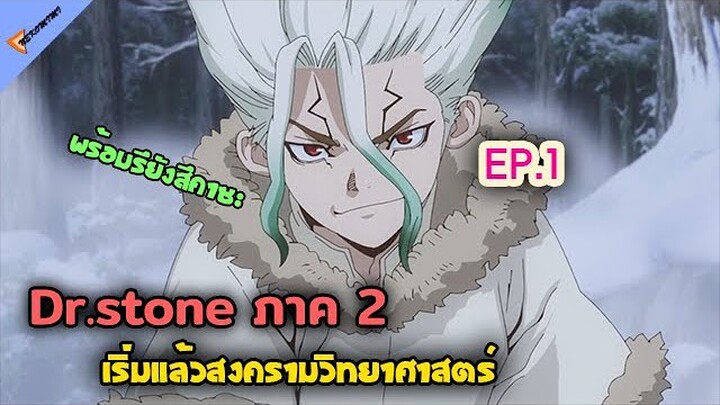 สงครามภาค2มาแล้ว 🐱 [Dr.STONE STONE WARS ภาค2 ตอนที่ 1] | สปอยอนิเมะ