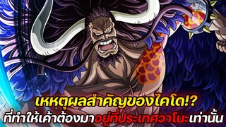 [วันพีช] : เหตุผลสำคัญของไคโด!? ที่ทำให้เค้าต้องมาอยู่ที่ประเทศวาโนะเท่านั้น !!