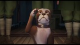 chú chó Lang Thang trở thành Người Hùng nước Mĩ - review phim Trung Sĩ Stubby