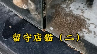 هكذا أعطي الماء، ألست ذكيًا؟